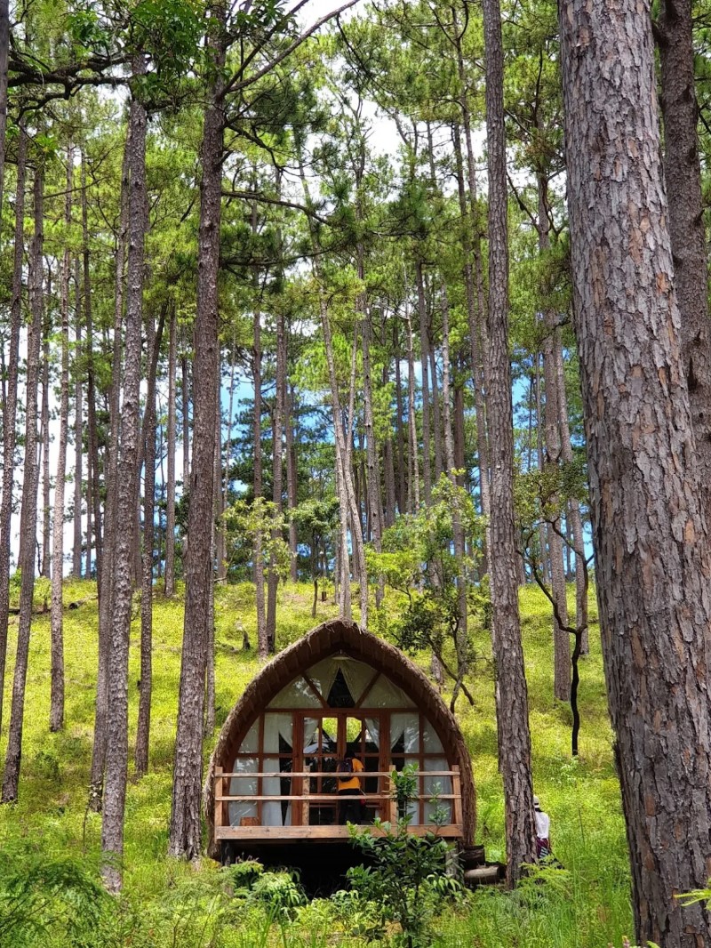 Andante Nature Retreat – Không gian có đáng như lời đồn? Andante Nature Retreat – Không gian có đáng như lời đồn?