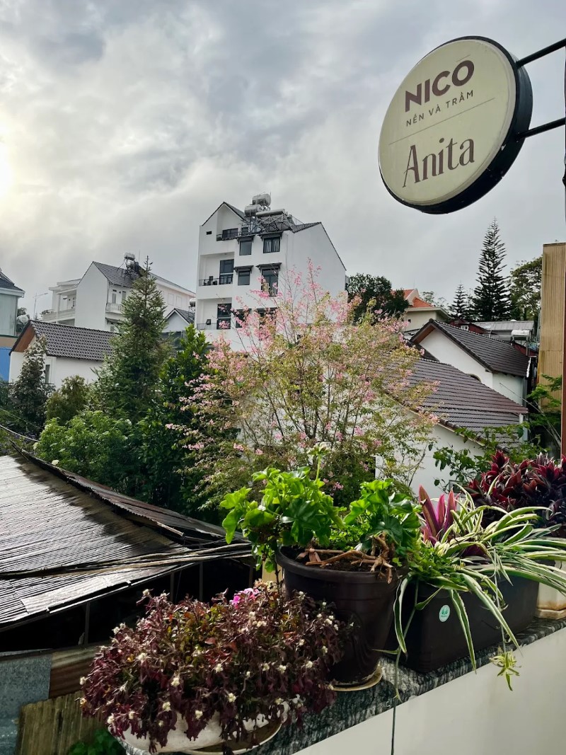 Ở hay không tại Anita Homestay Đà Lạt? Review chân thực
