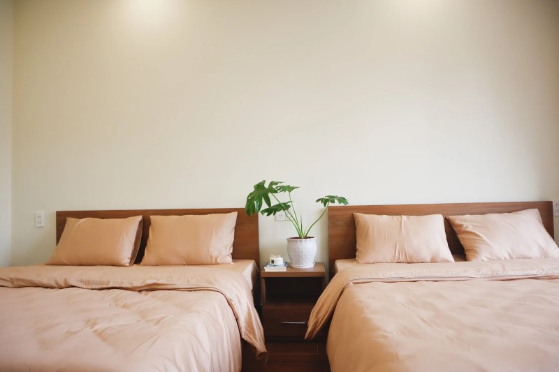 Ở hay không tại Anita Homestay Đà Lạt? Review chân thực