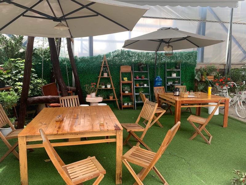 Aurora Homestay Đà Lạt – Trải nghiệm đáng nhớ của du khách