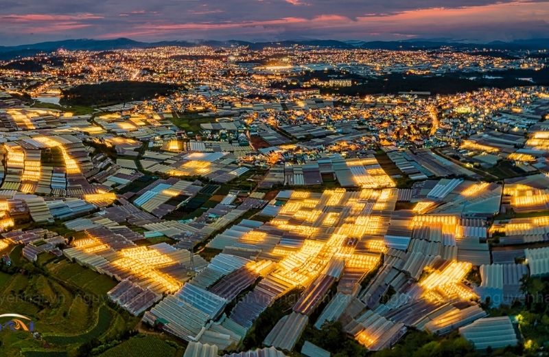 da lat co gi 2