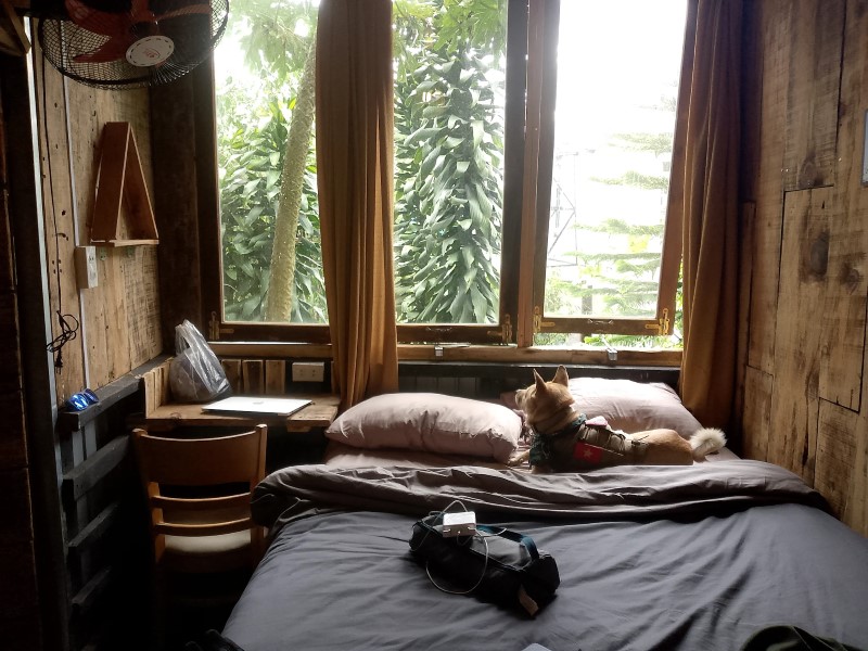 Đà Lạt Inn Homestay có đáng tiền? Đánh giá chi tiết