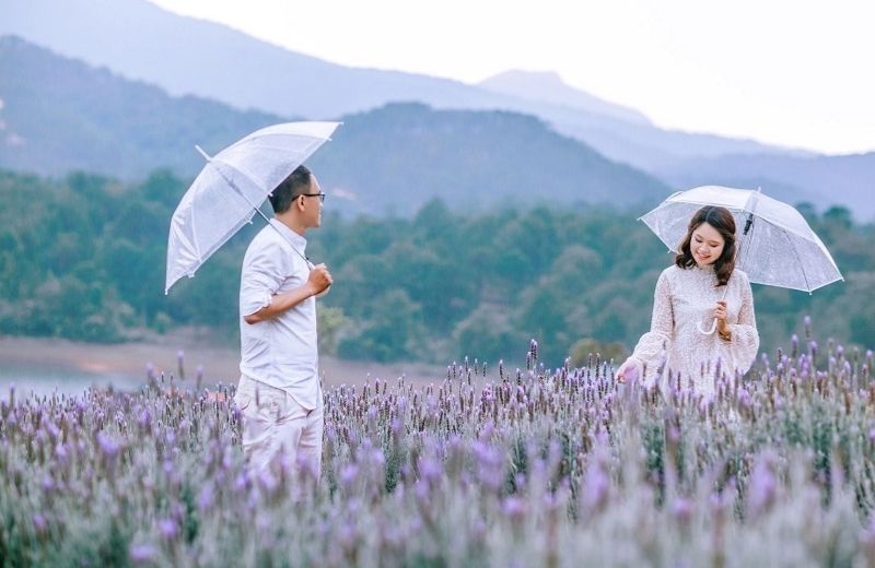 da lat thang 7 1