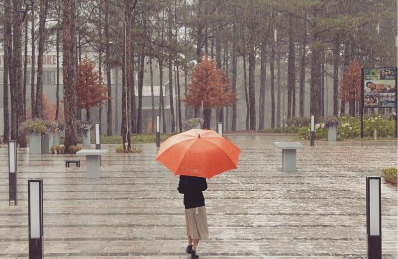 da lat thang 8 3