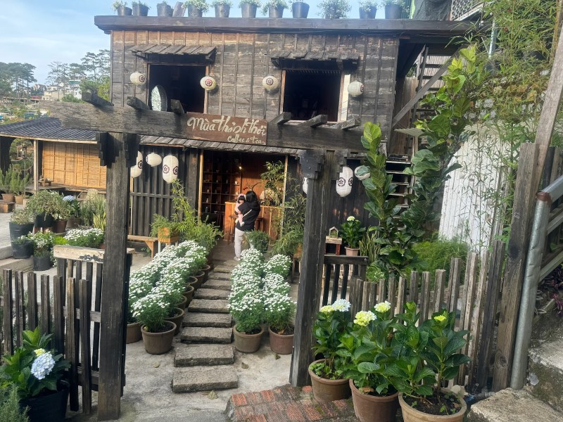 Dalat Memories Homestay – Đánh giá thực tế không gian và phòng Dalat Memories Homestay – Đánh giá thực tế không gian và phòng