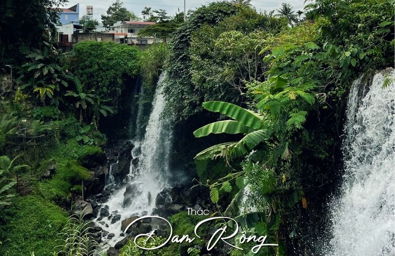 dam rong 3