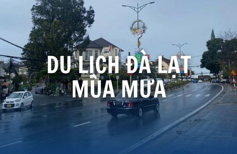 du lich da lat mua mua 2