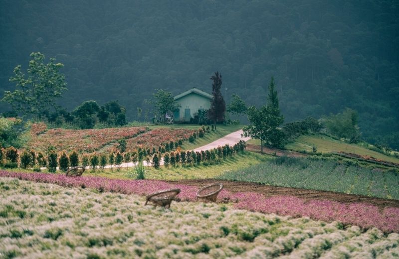 duong nhan duyen da lat 2