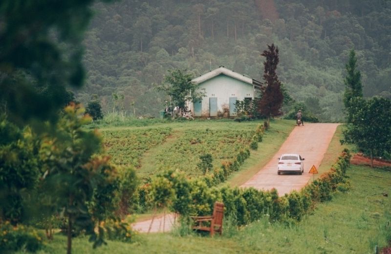 duong nhan duyen da lat 3