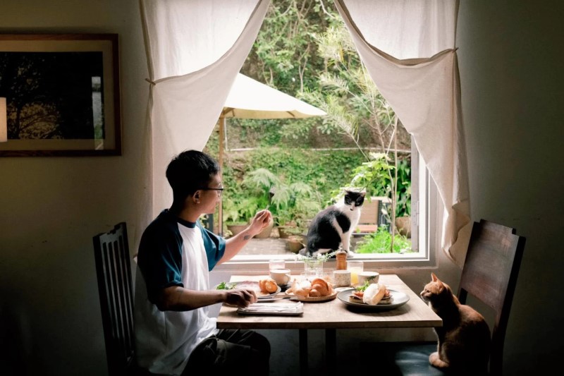 Émai Homestay Đà Lạt có lãng mạn như lời đồn? Review thực tế Émai Homestay Đà Lạt có lãng mạn như lời đồn? Review thực tế