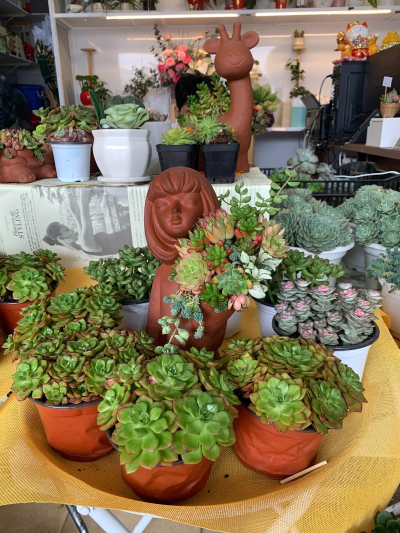 HOA TƯƠI 24h - Tiệm hoa Đà Lạt giao nhanh uy tín HOA TƯƠI 24h - TIỆM HOA TƯƠI Đà Lạt