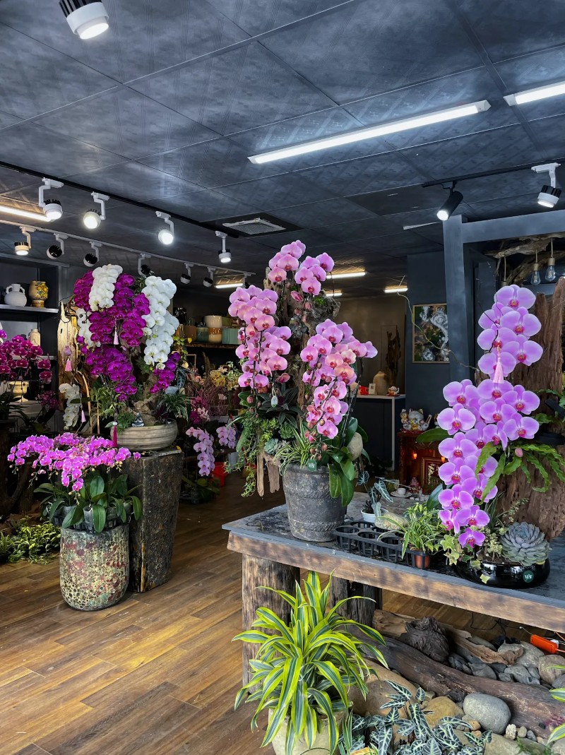 Hoa Tươi Mây Flower - Sắc hoa nhẹ nhàng Đà Lạt Hoa Tươi Mây Flower