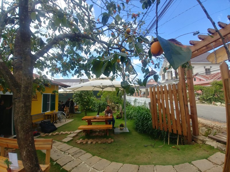 Home of Dreamers có gì thu hút? Review từ khách đã lưu trú