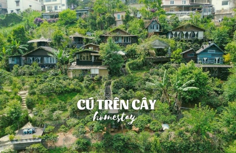 homestay da lat view doi nui 2