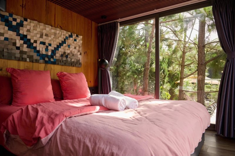 In The Pines Homestay Đà Lạt – Góc nhìn thực tế