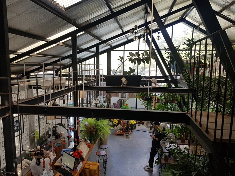 Khám phá Lalaland Homestay Đà Lạt - Không gian yên bình