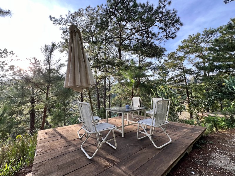 Moonrise Garden có gì đẹp? Đánh giá từ người từng ở