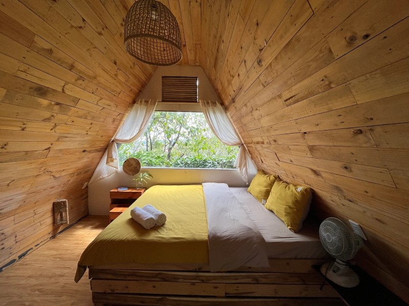 Nấp Đà Lạt có gì thú vị? Review chi tiết từ du khách