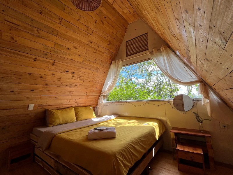 Nấp Đà Lạt có gì thú vị? Review chi tiết từ du khách