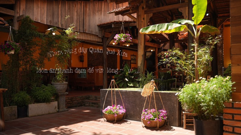 Quán Cơm Quê Xưa Đà Lạt: Hương vị cơm nhà có như lời đồn? Quán Cơm Quê Xưa