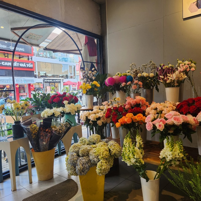 Shop Hoa Ly Bông - Hoa sinh nhật và tình yêu Đà Lạt Shop Hoa Ly Bông