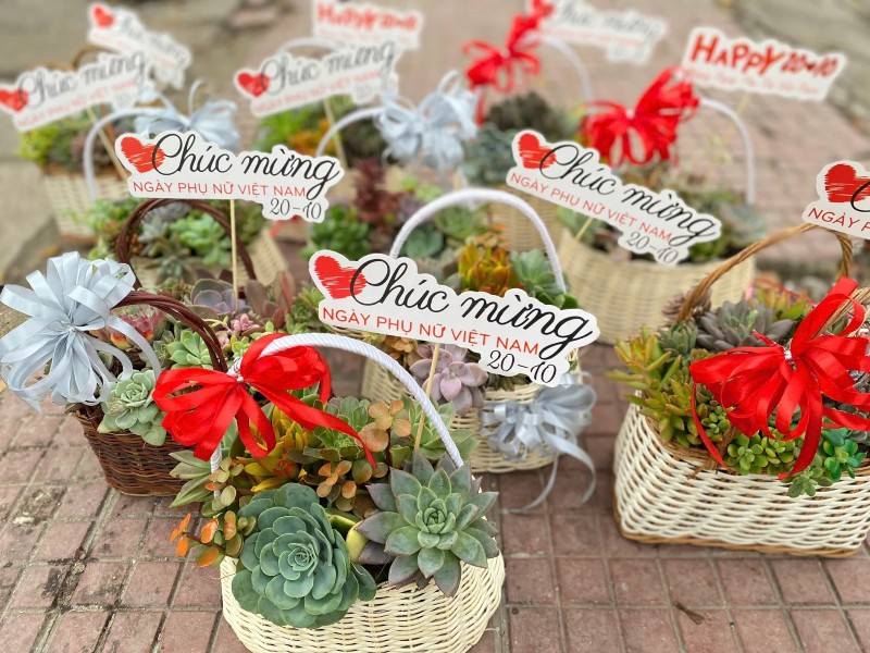 Shop Hoa Tươi Số 1 Đà Lạt - Hoa tươi giao tận nơi Shop Hoa Tươi số 1 Đà Lạt