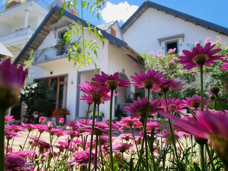 Tía Dú Homestay Đà Lạt có gì đặc biệt? Review chân thật Tía Dú Homestay Đà Lạt có gì đặc biệt? Review chân thật