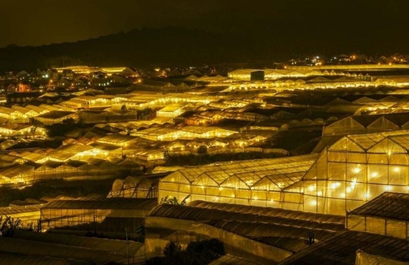 toi da lat di dau 3
