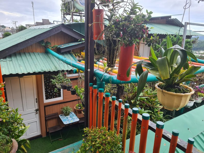 Những đánh giá chân thực về Ziczac Homestay Đà Lạt Những đánh giá chân thực về Ziczac Homestay Đà Lạt