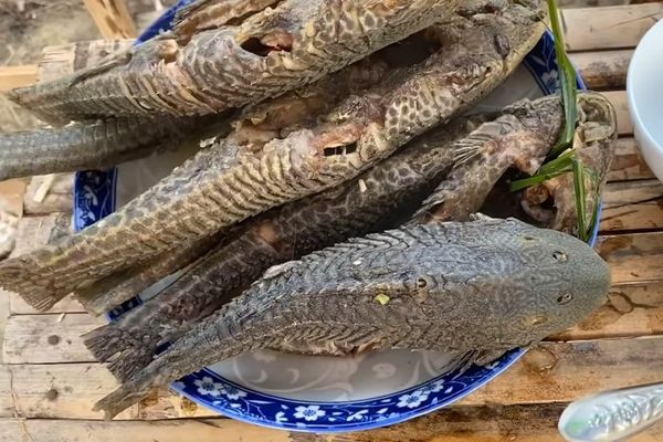cach lam ca lau kieng hap sa 2