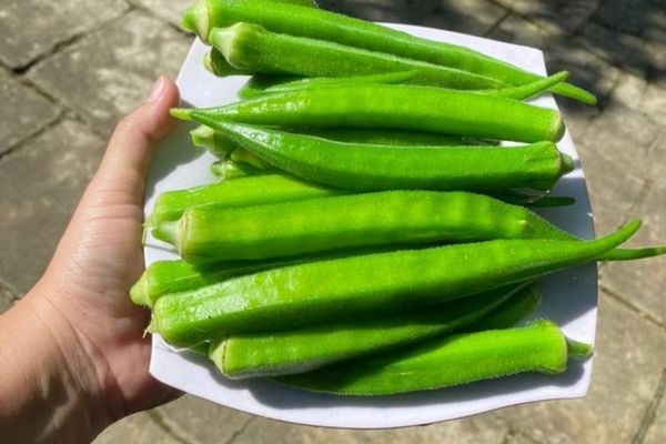 Cách làm đậu bắp luộc xanh mướt ngon và không nhớt cach lam dau bap luoc 3