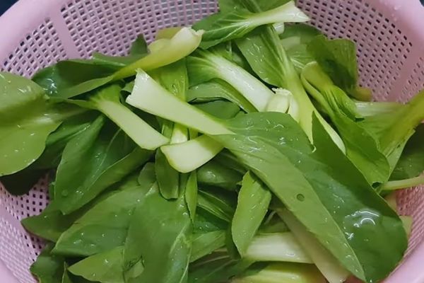 Cách làm rau cải luộc giữ màu xanh ngon không bị đắng cach lam rau cai luoc 2