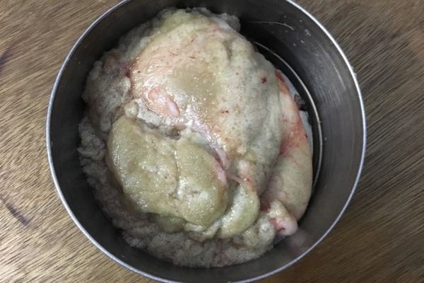 cach nau trung ca chep ngon 1