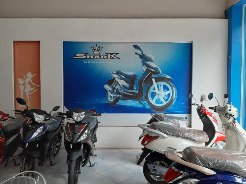 Giá xe Yamaha Tùng Dương VP Lập Thạch chính xác nhất 3 giá xe Yamaha Tùng Dương VP Lập Thạch